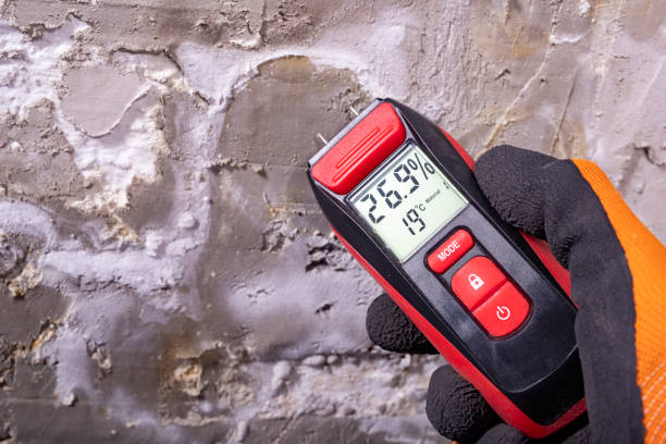 Best Mold Damage Repair  in South Corning, NY